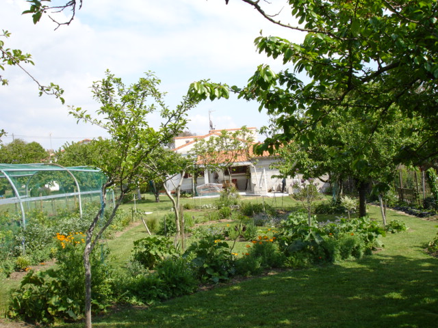 Garten und Terrasse Süd orientiert