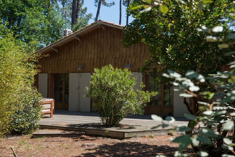 Dream holiday cottages in Cap Ferret . very quiet setting