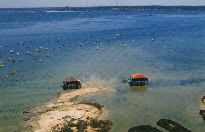 Rental homes in Cap Ferret